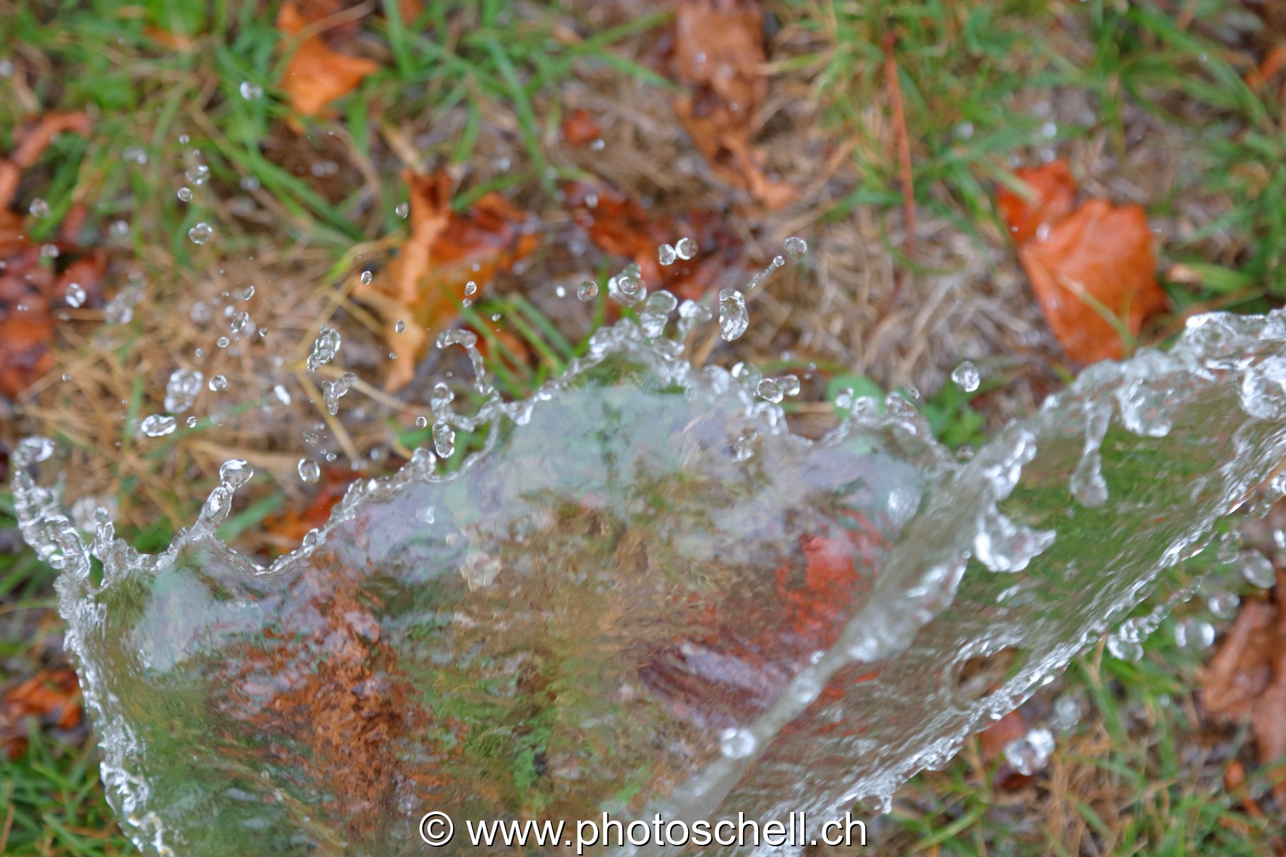 Giclées d'eau dans l'herbe