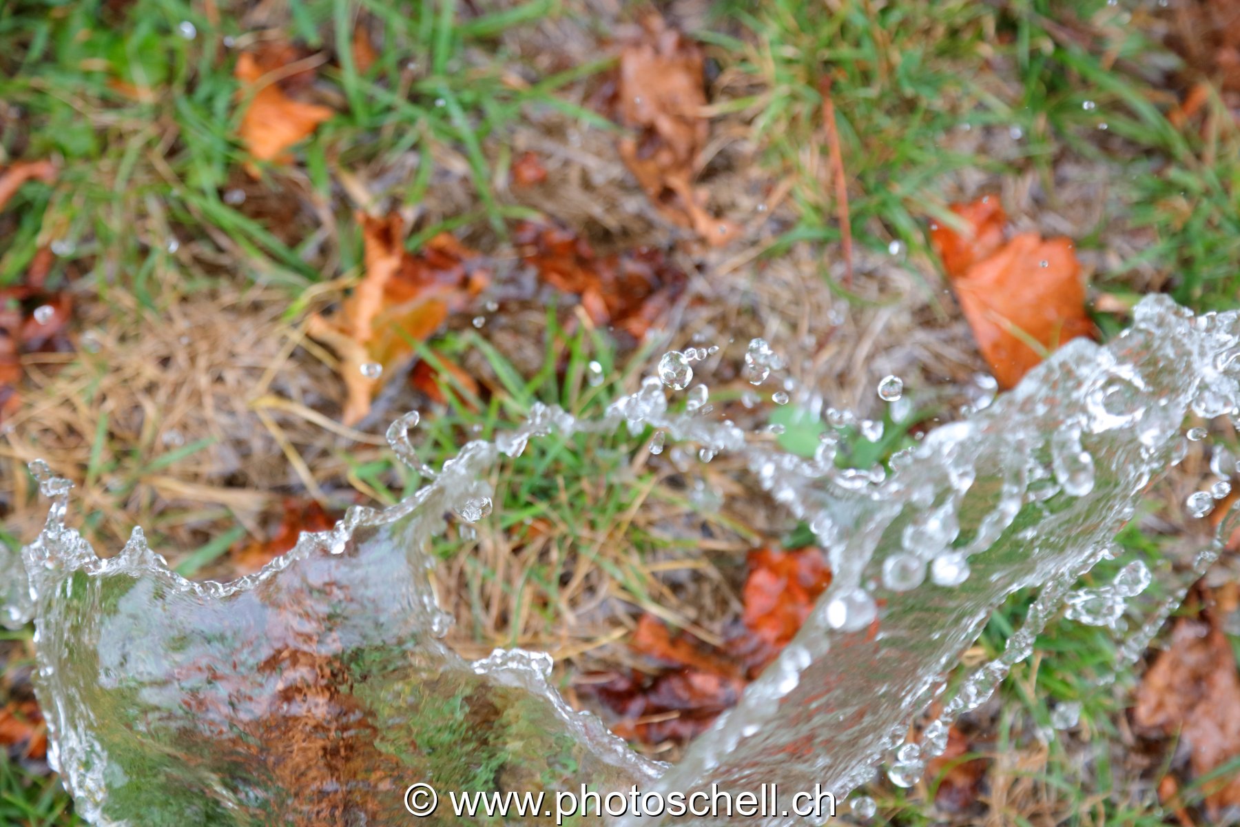 Giclées d'eau dans l'herbe
