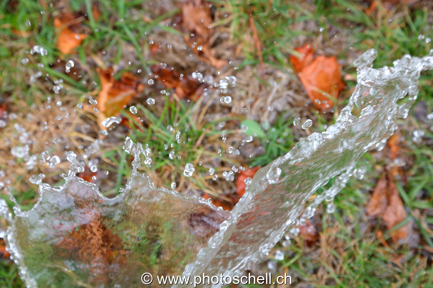 Giclées d'eau dans l'herbe