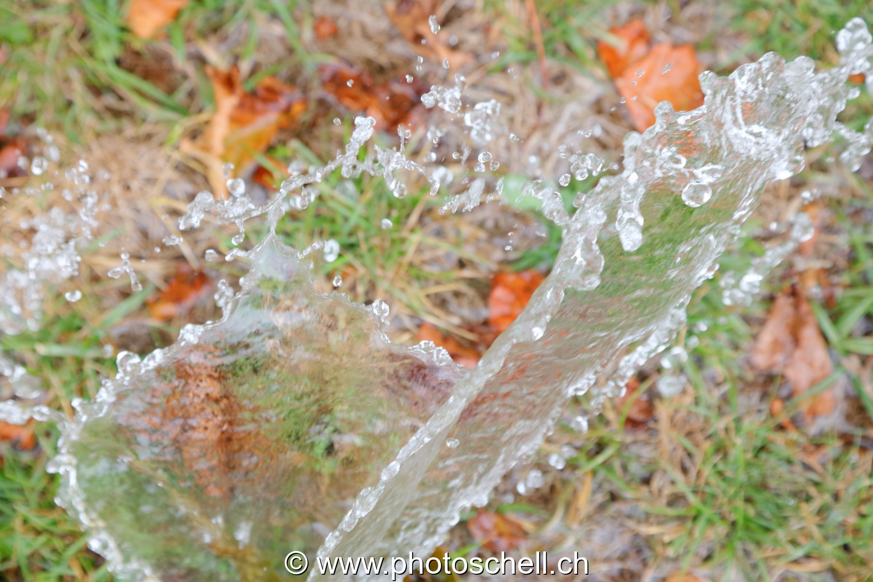 Giclées d'eau dans l'herbe
