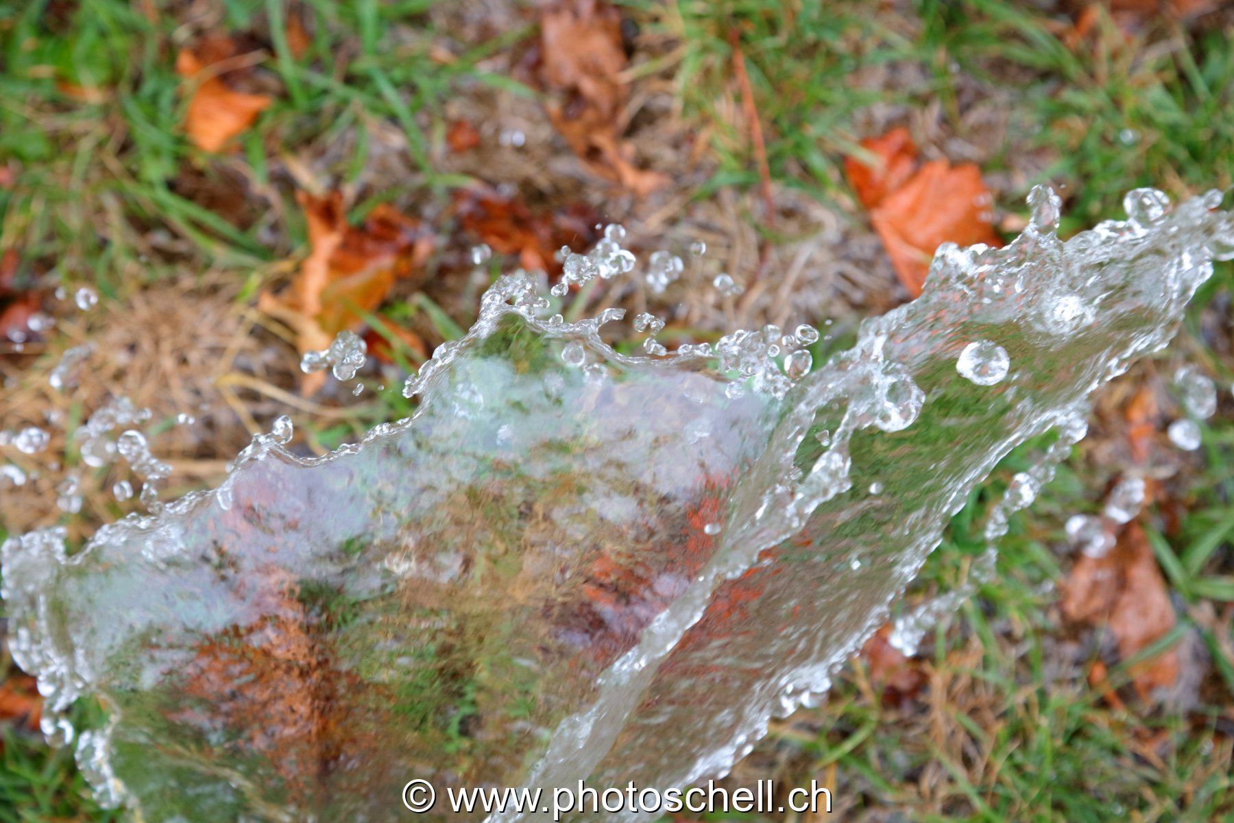 Giclées d'eau dans l'herbe