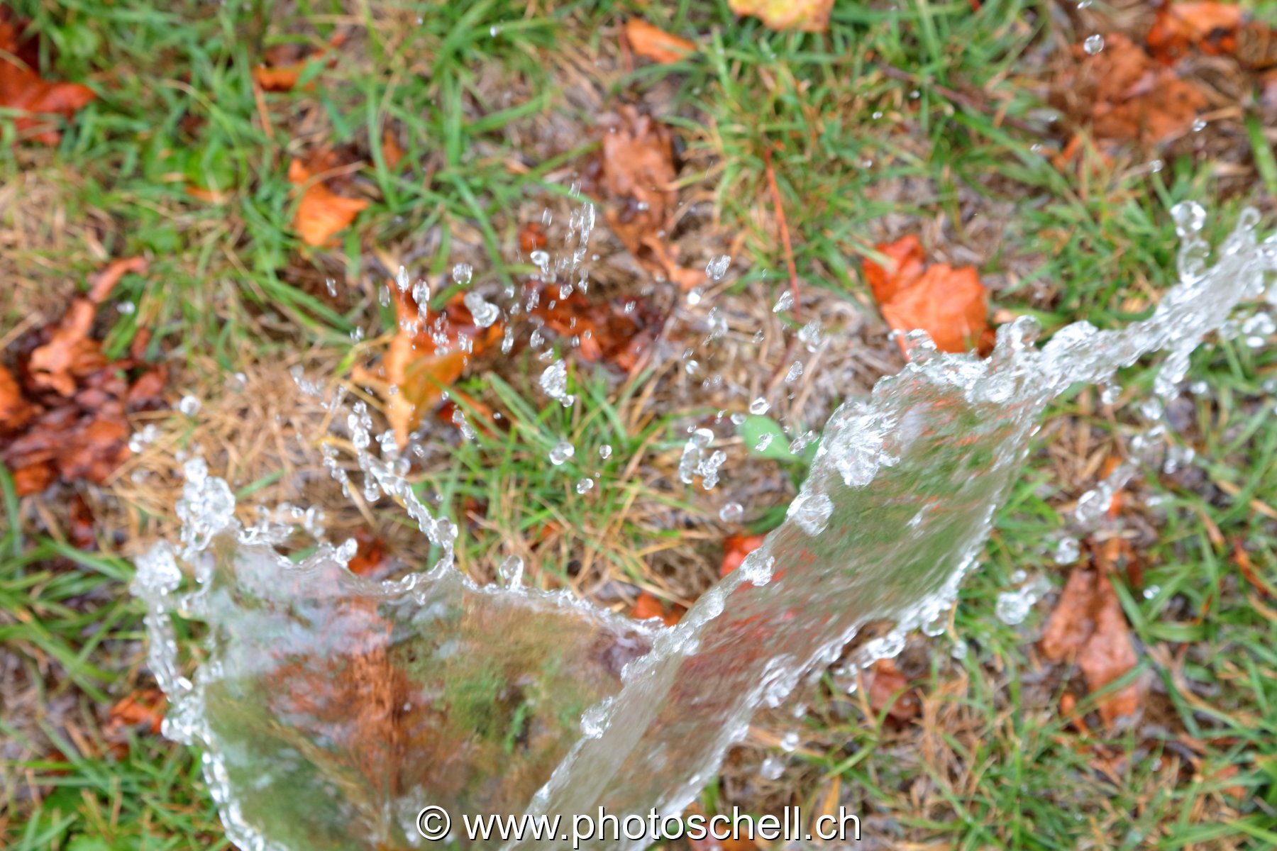 Giclées d'eau dans l'herbe