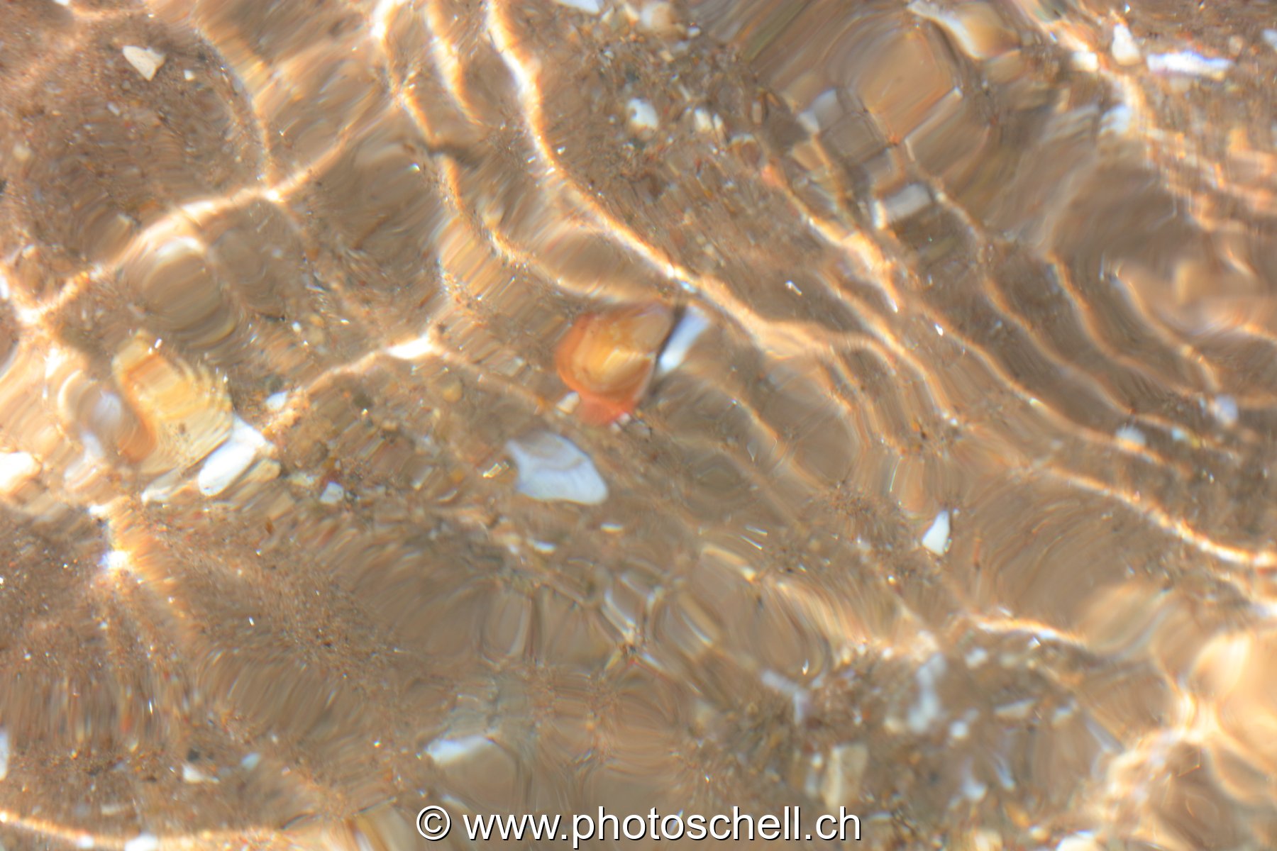 Reflets sur le sable