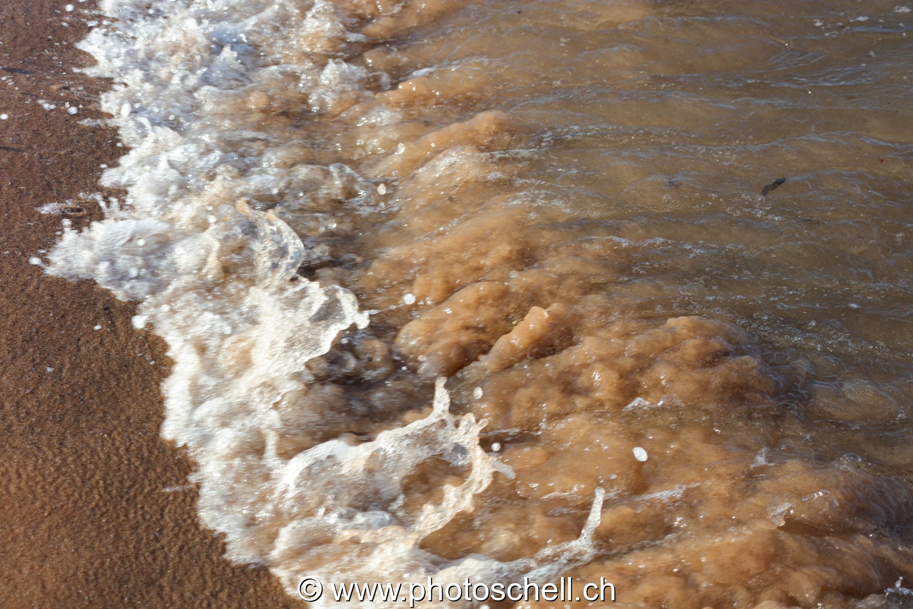 Vagues qui s'écrasent