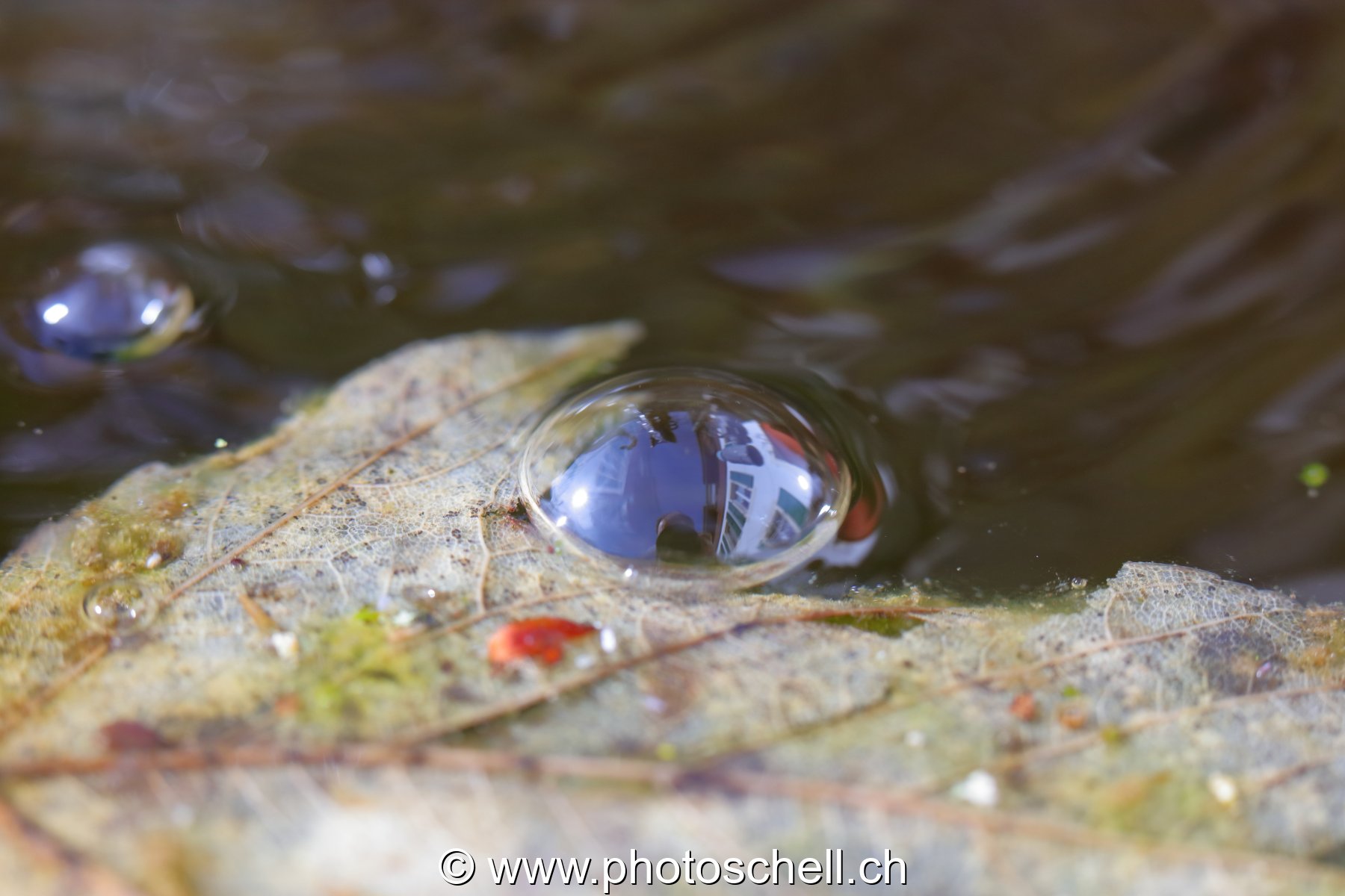 Bulle d'air sur l'eau