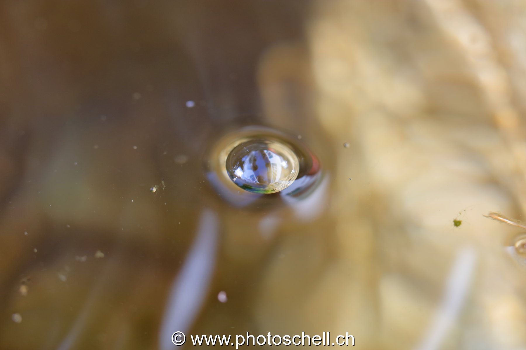Bulle d'air sur l'eau