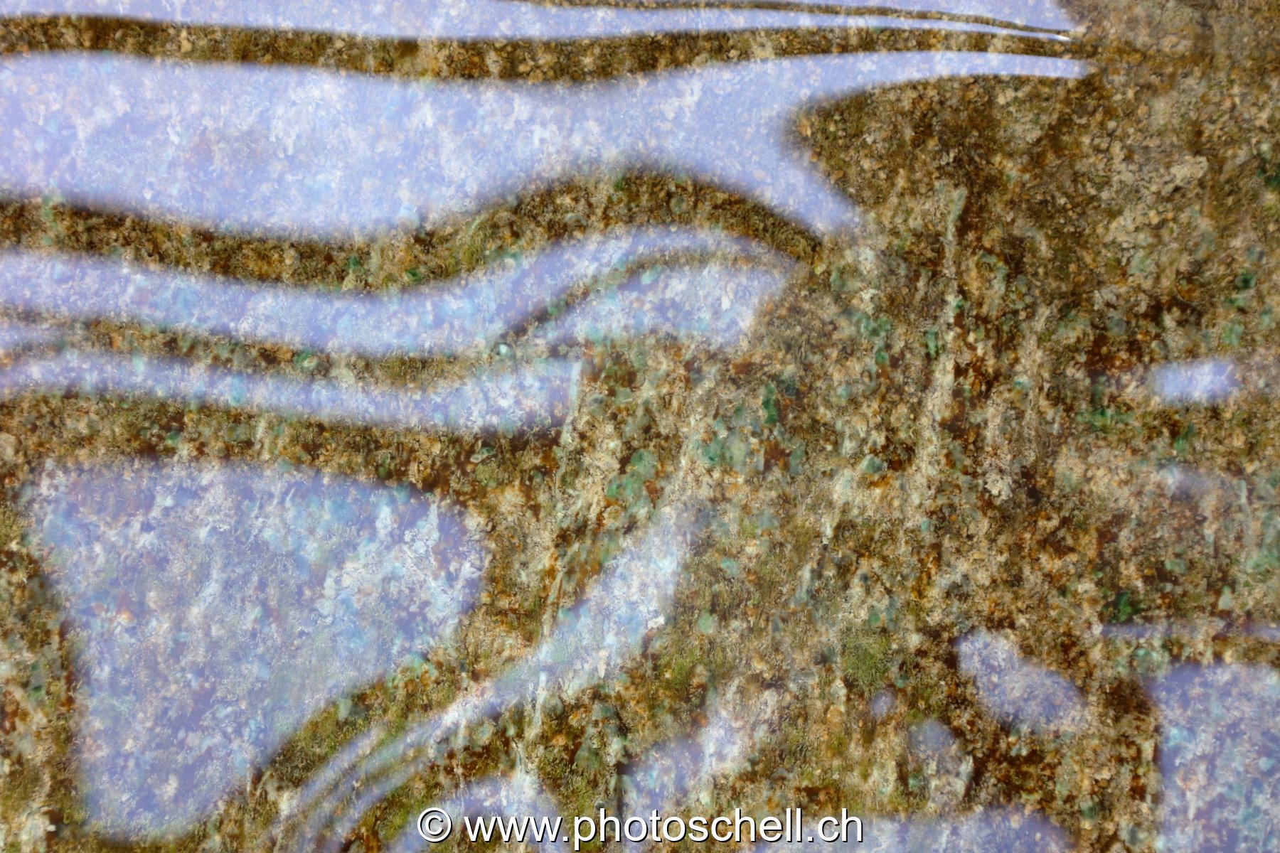 Reflets dans l'eau