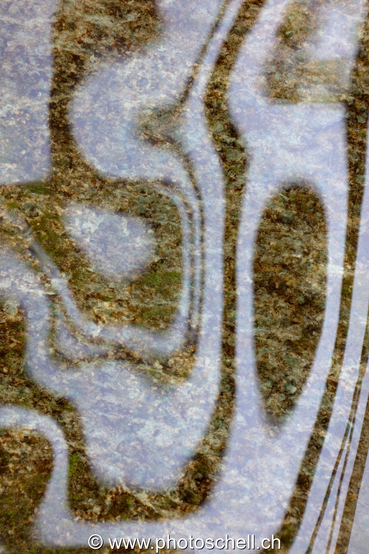 Reflets dans l'eau