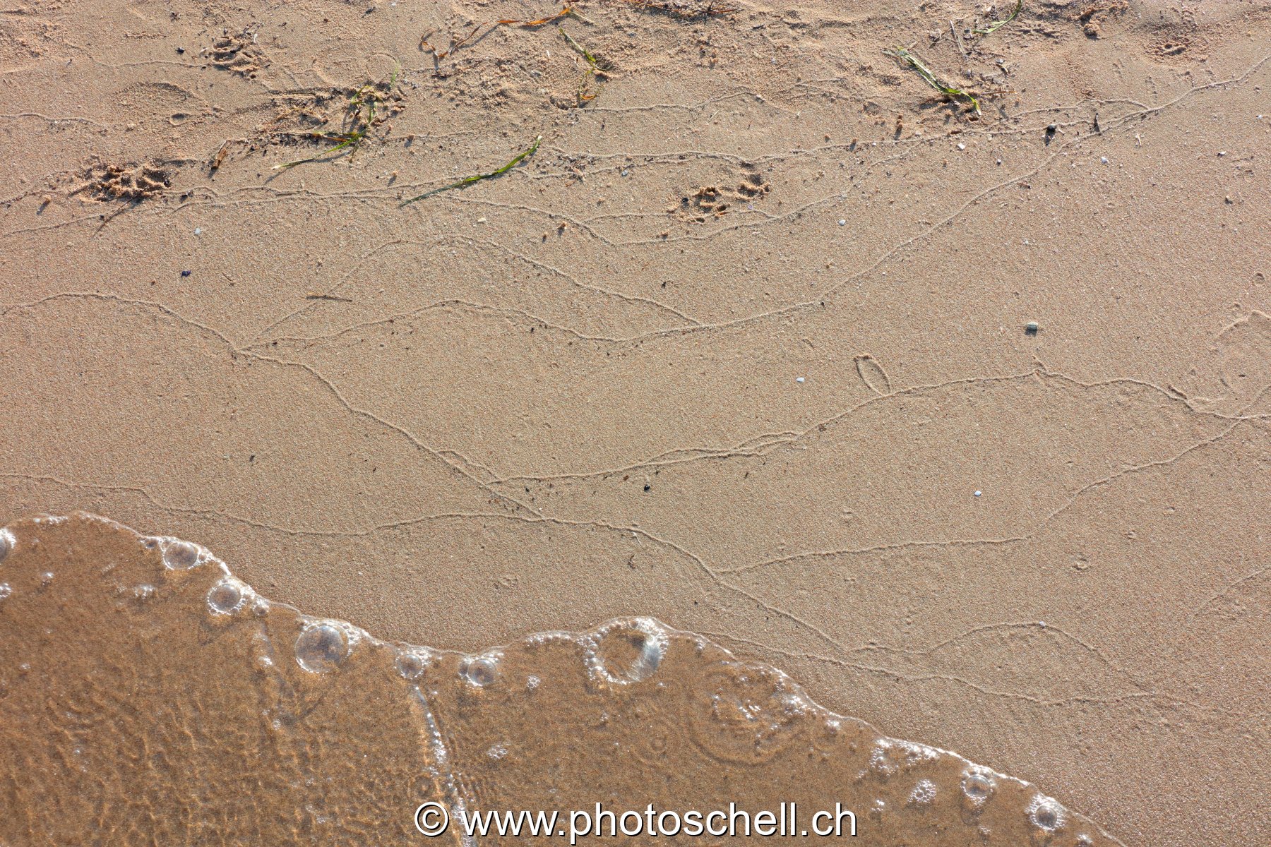 Traces des vagues et bulles d'air