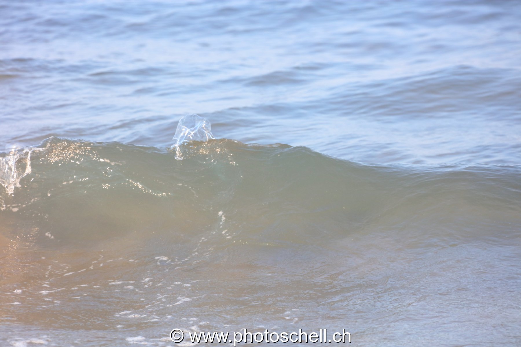 Crête de vague avant qu'elle ne se brise