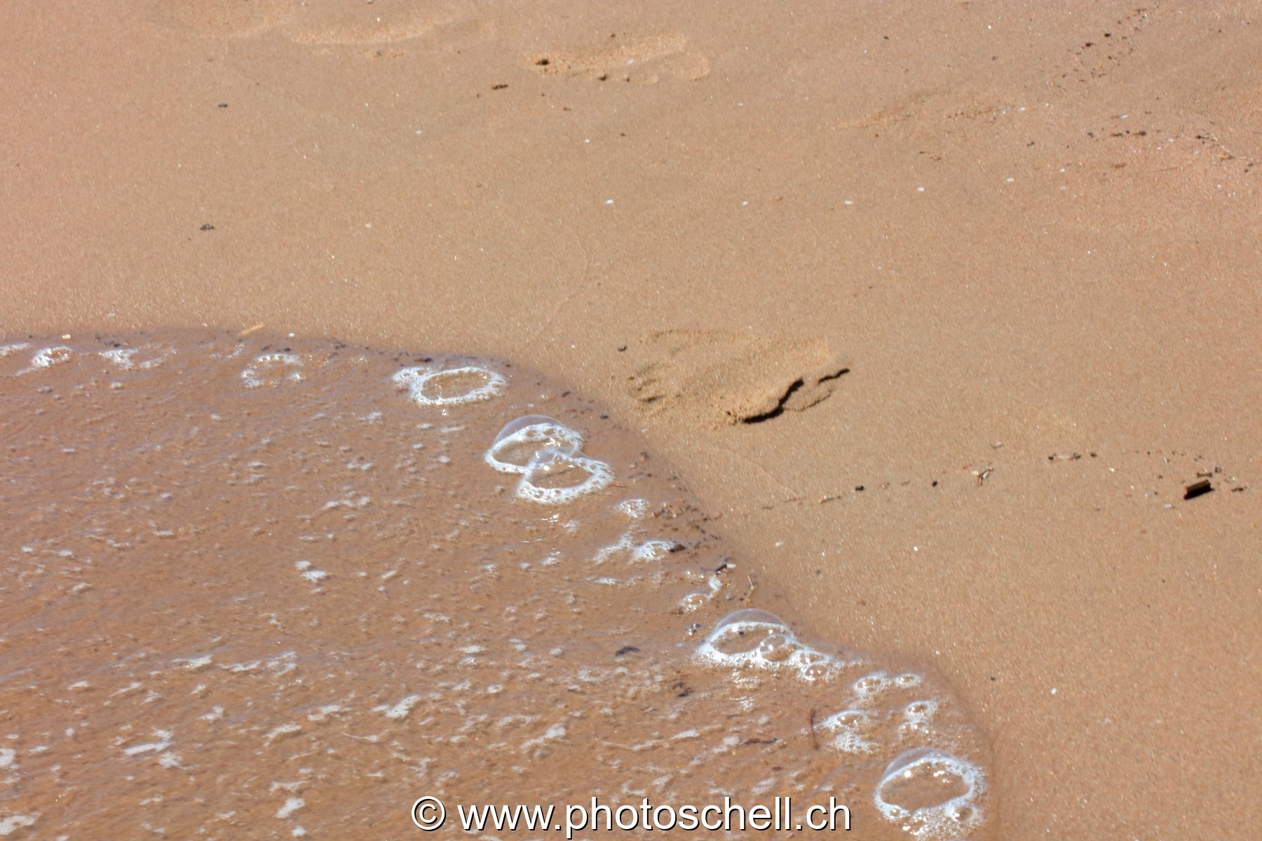 Vaguelettes s'écrasant sur la plage de sable