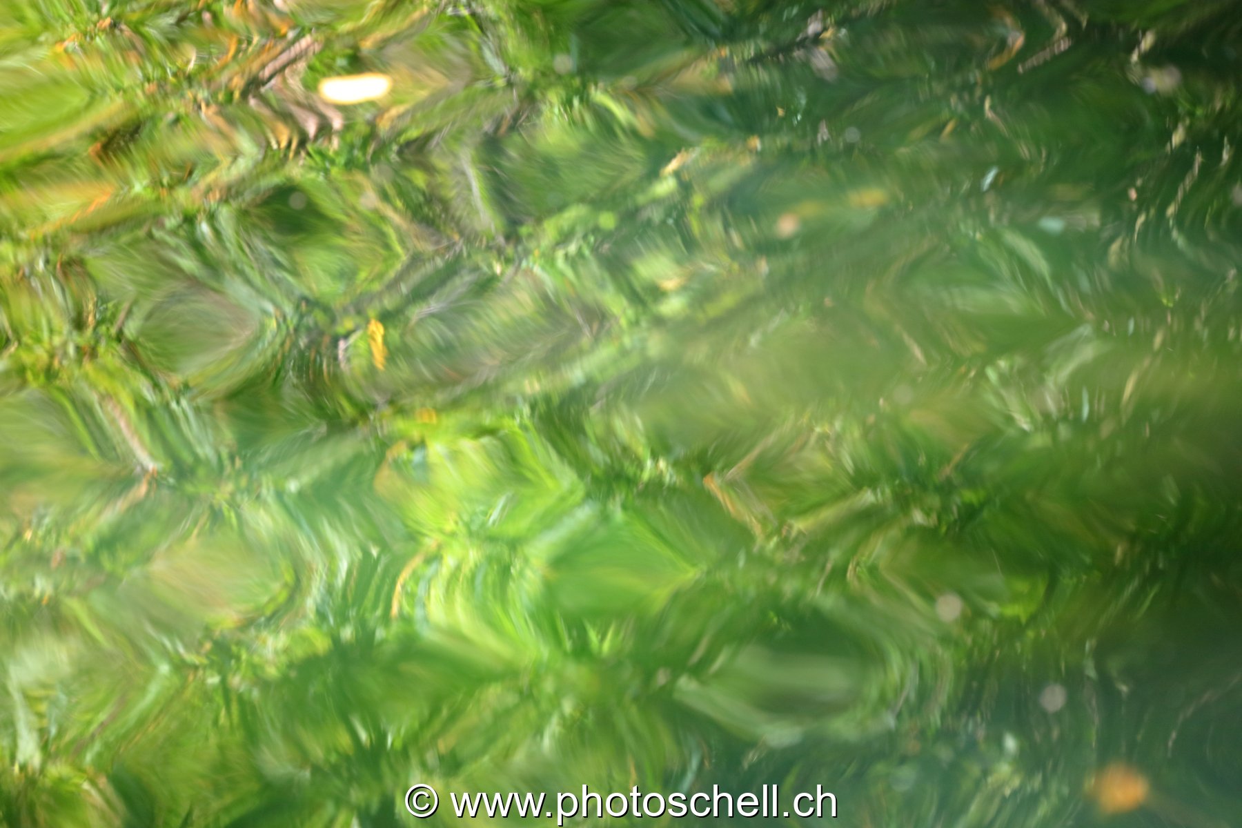 Reflets géométriques dans l'eau