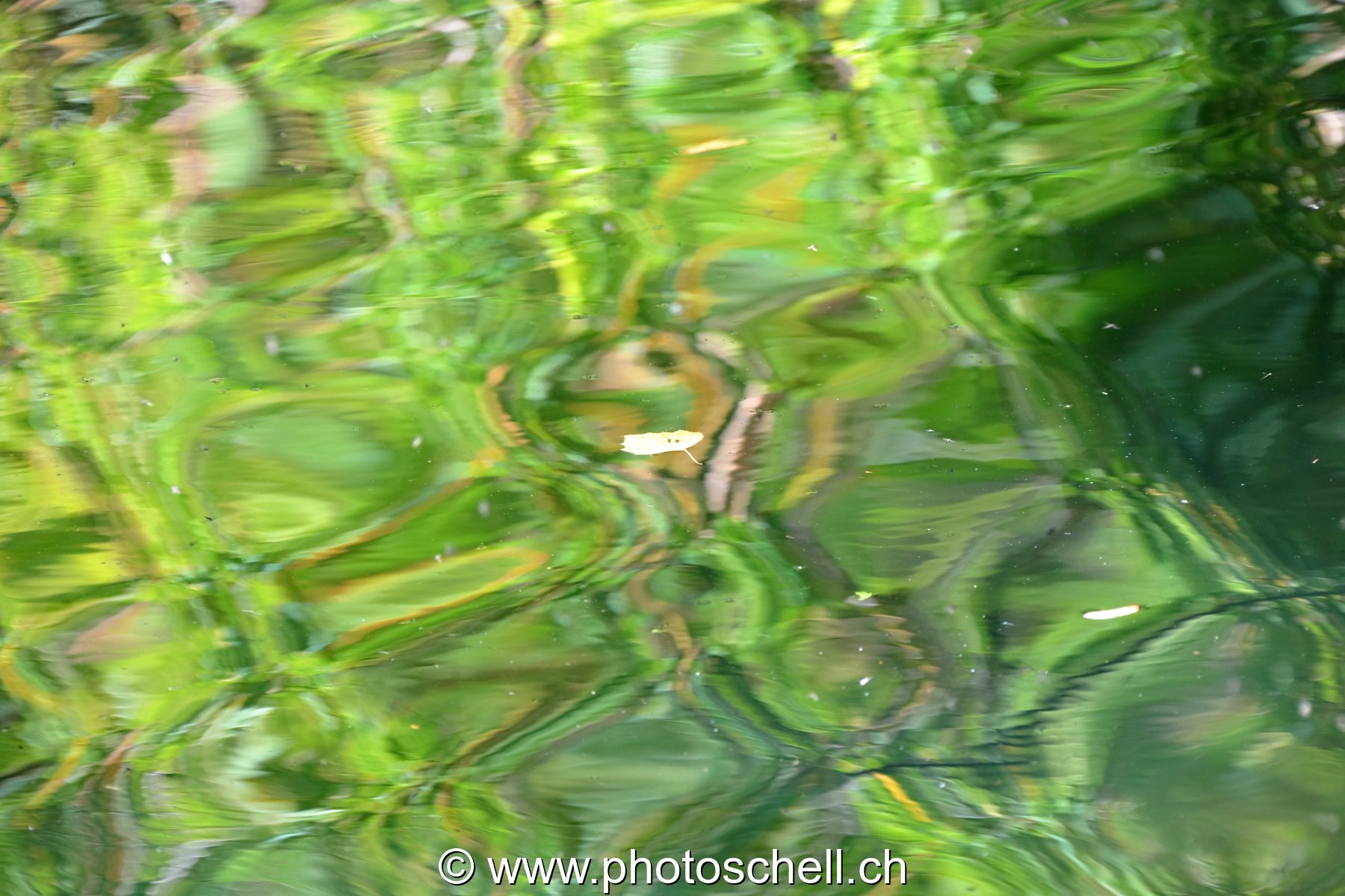 Reflets géométriques dans l'eau