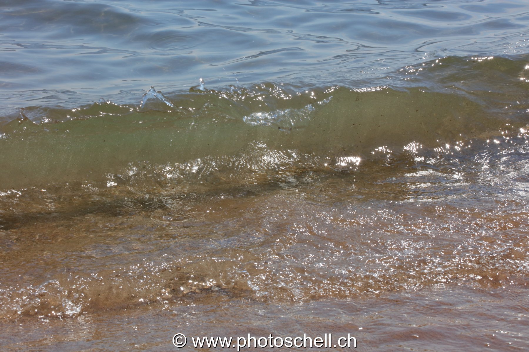 Vagues qui s'écrasent sur la plage