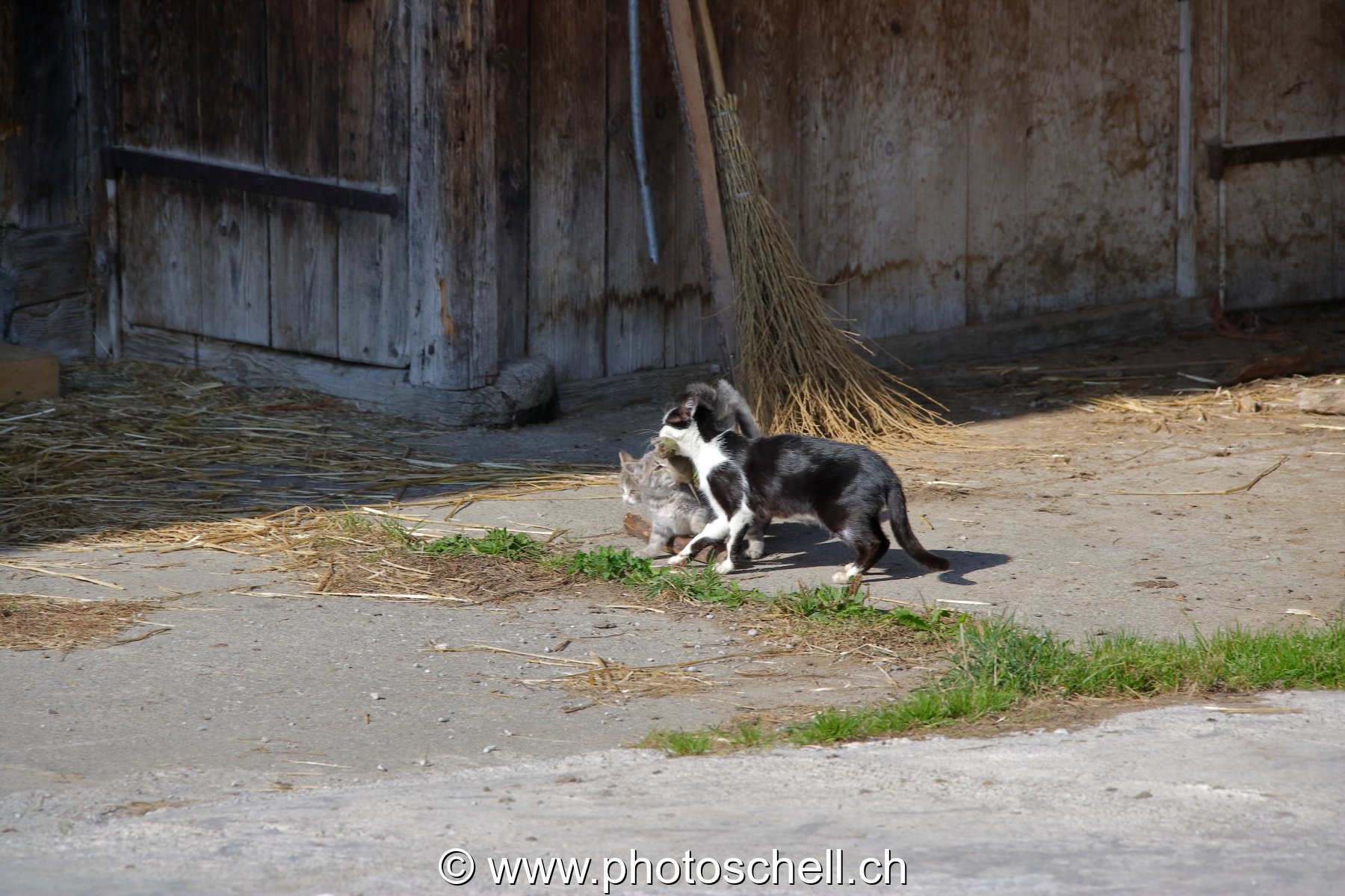 Photo 21
