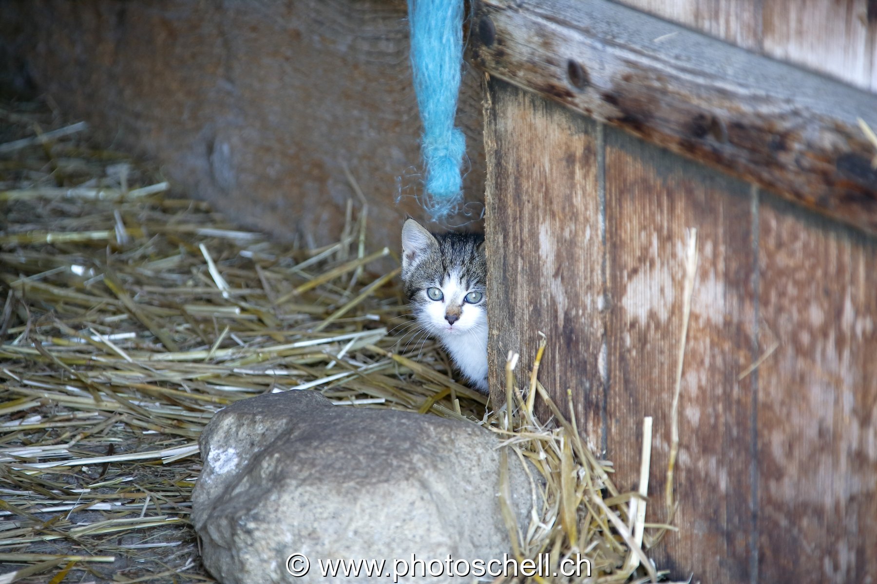 Photo 24