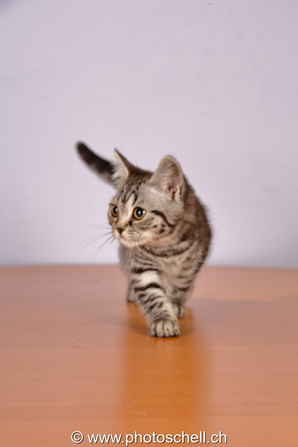 Photo 32