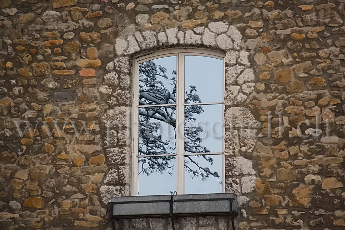 Reflets d'une branche enneigée dans une fenêtre du château