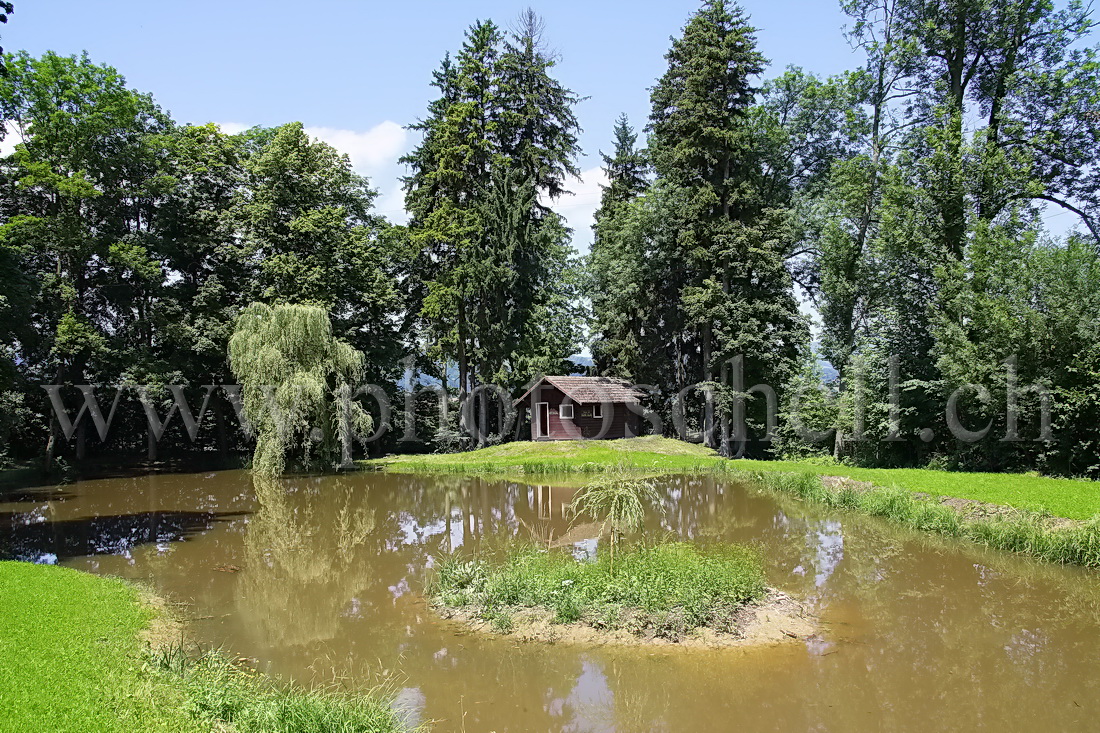 La cabane de Gruyère Energie