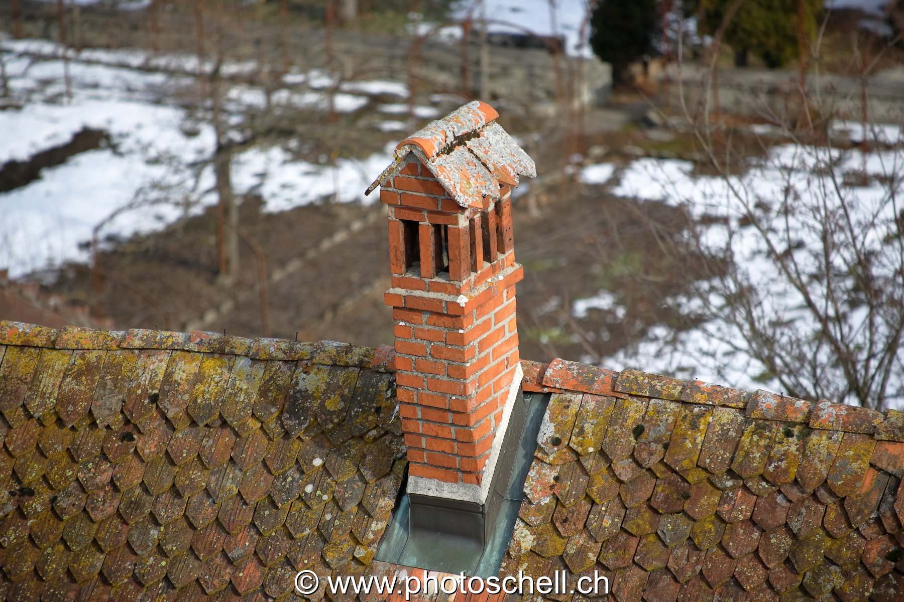 Photo 17