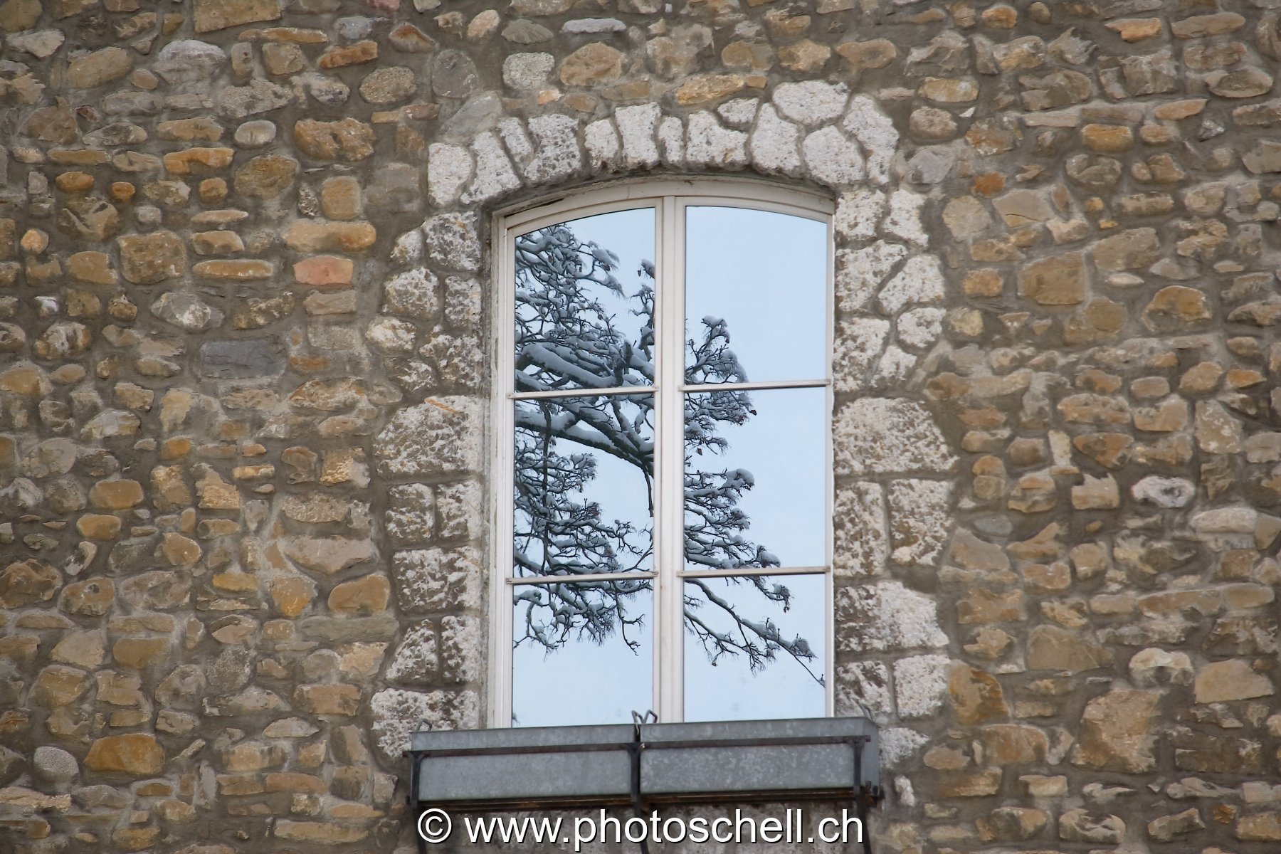 Photo 24