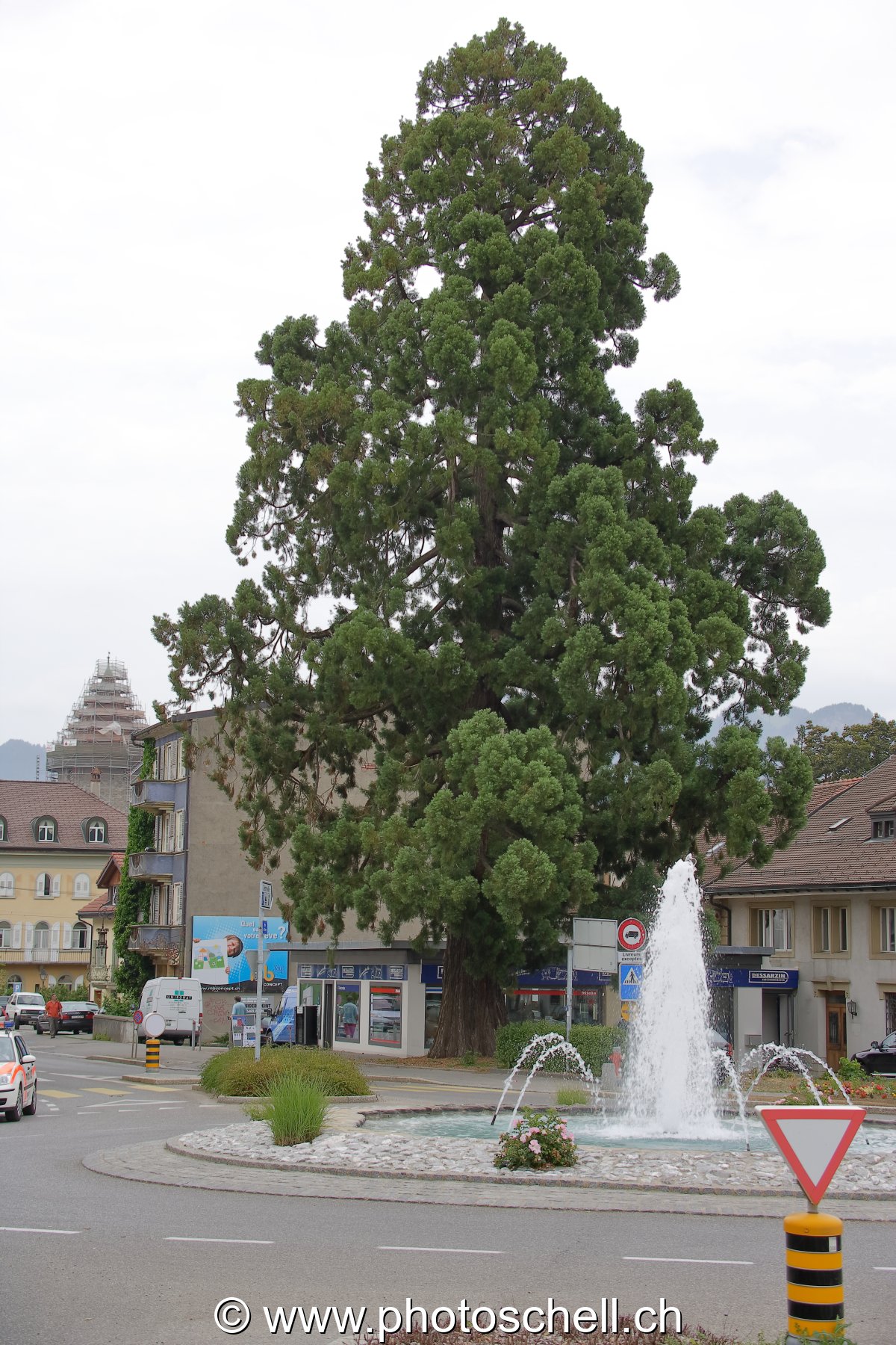Photo 40