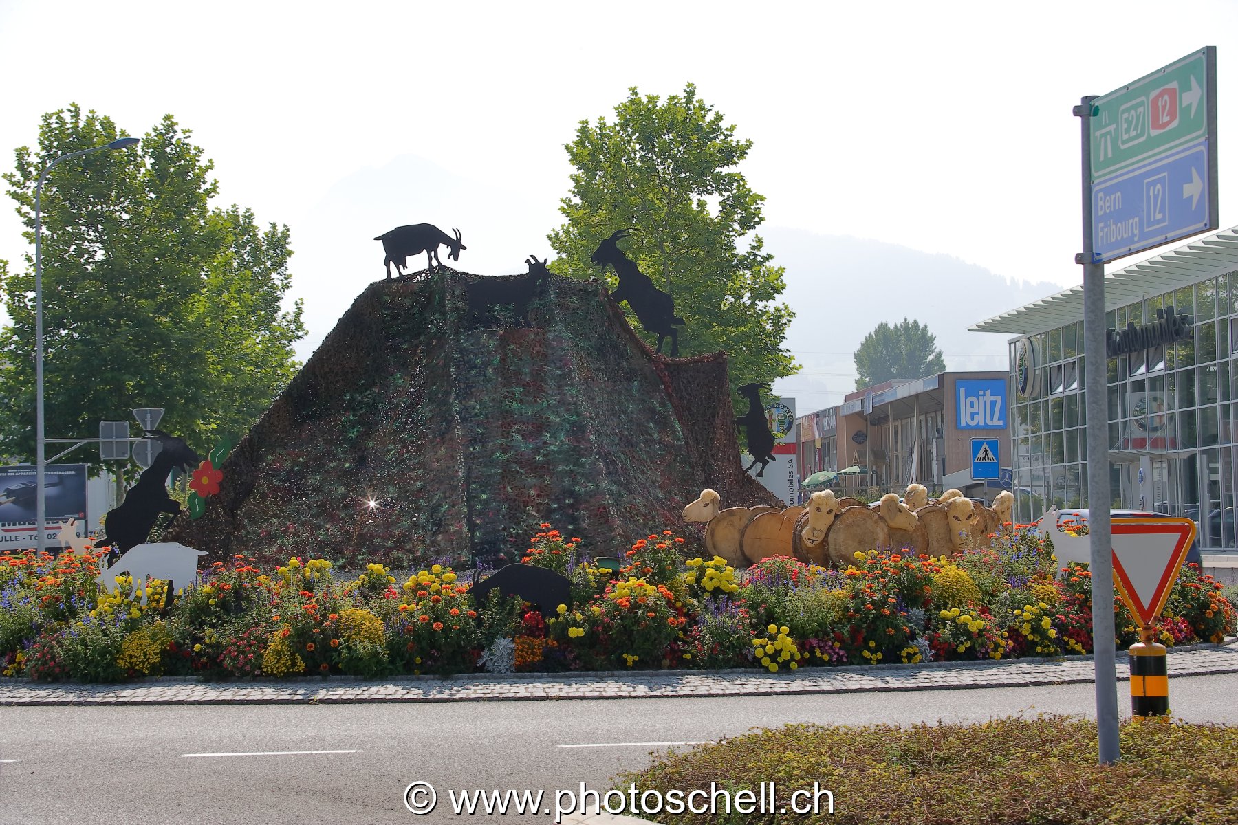 Photo 43