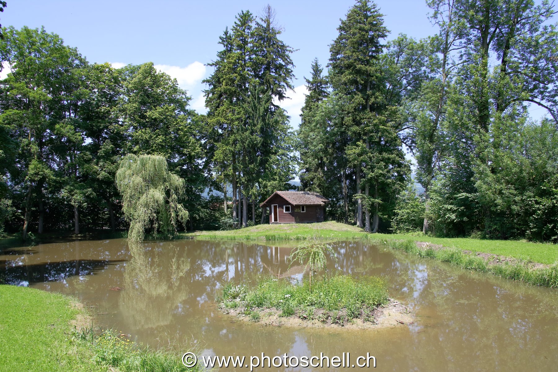 Photo 66