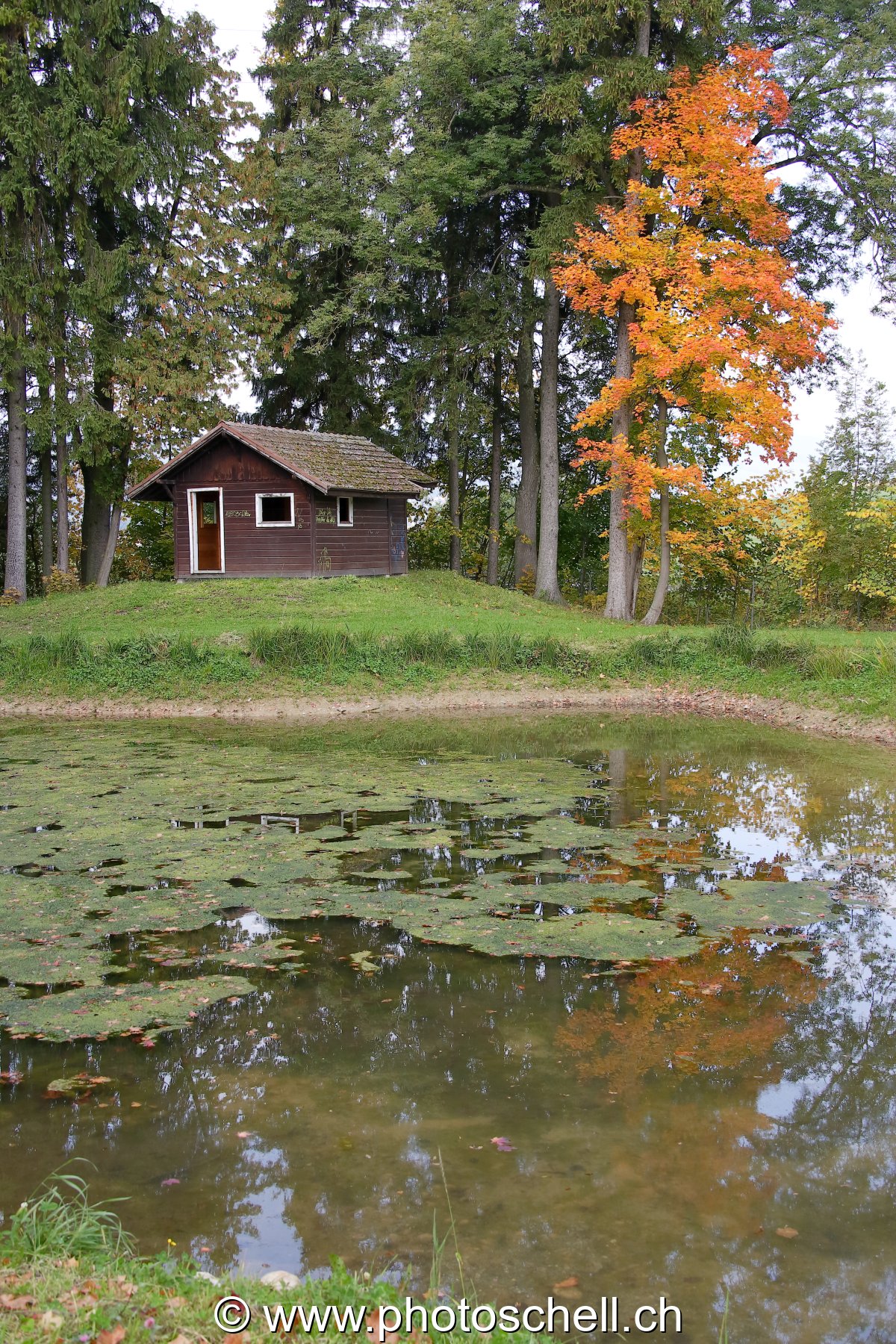 Le plan d'eau de Gruyère Energie et sa cabane