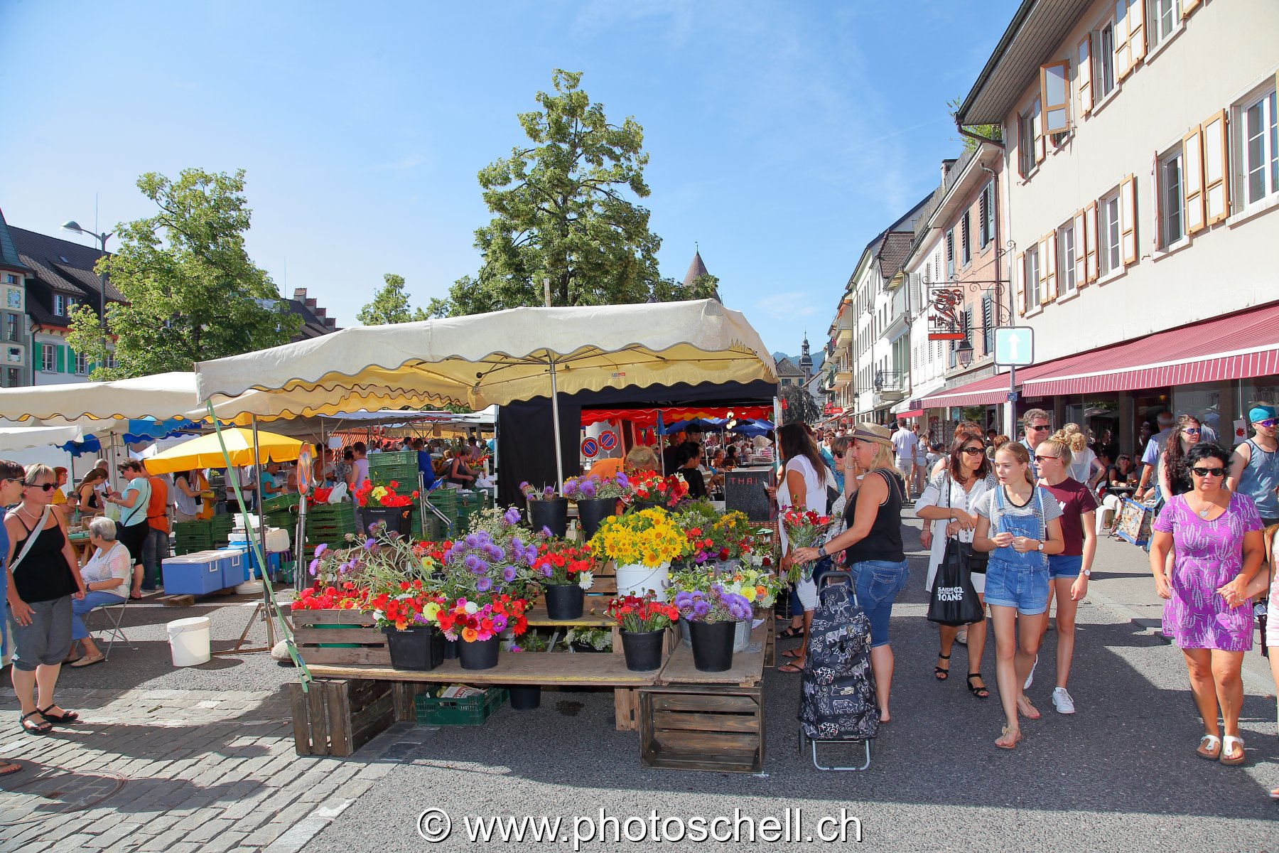 Marché traditionnel
