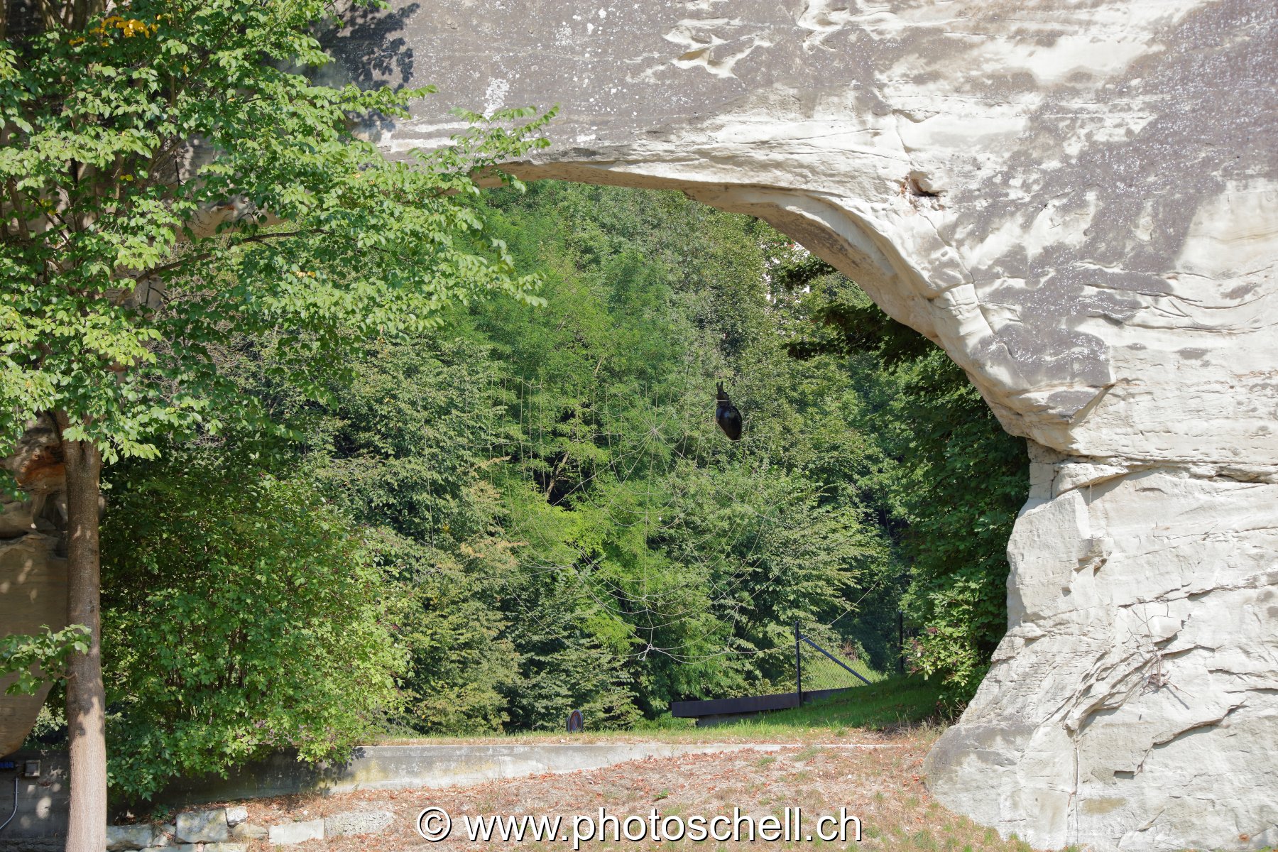 La Sarine sous l'arche de pierre