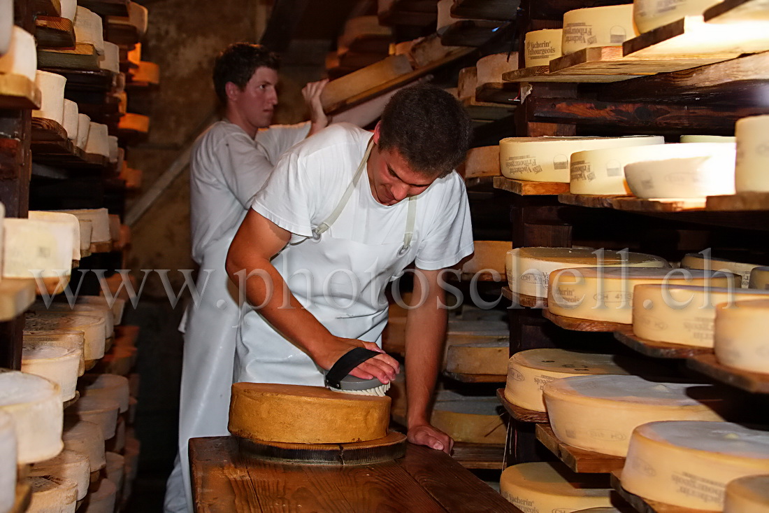 Le salage des meules de Vacherin