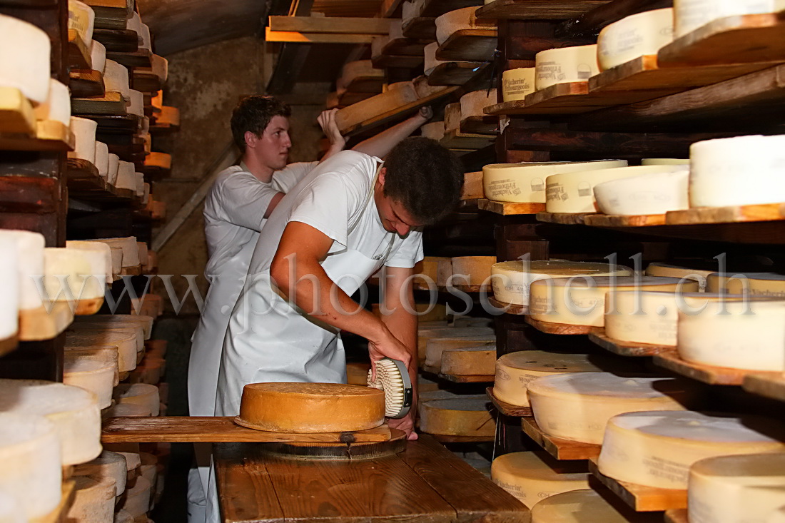 Le salage des meules de Vacherin