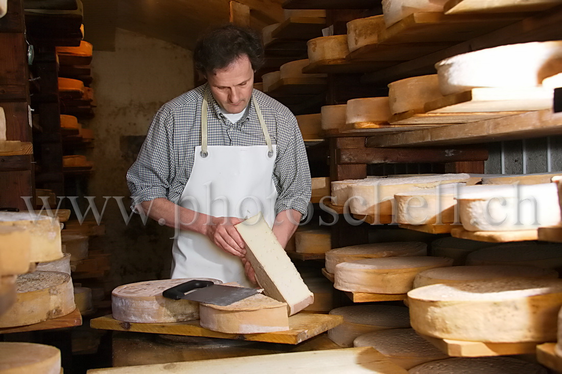 Vérification de l'aspect visuel du Vacherin Fribourgeois