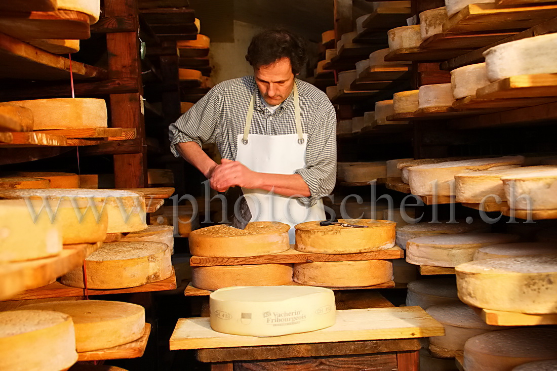 Découpe d'une meule de Vacherin dans la cave de Vuippens