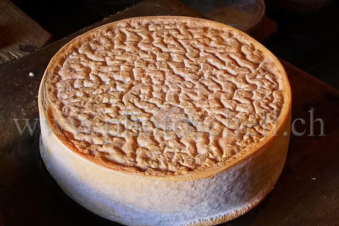 Gros plan sur la croûte du Vacherin