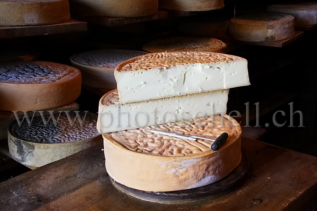 Invitation à une séance de dégustation du Vacherin...