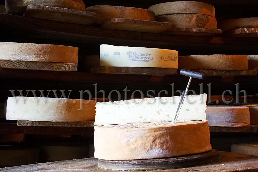 Invitation à une séance de dégustation du Vacherin...