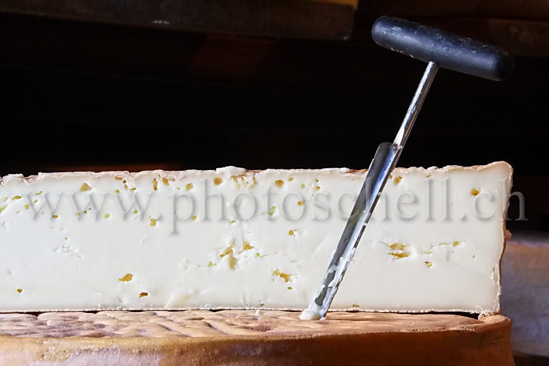 Les trous du Vacherin Fribourgeois fabriqué en Gruyère