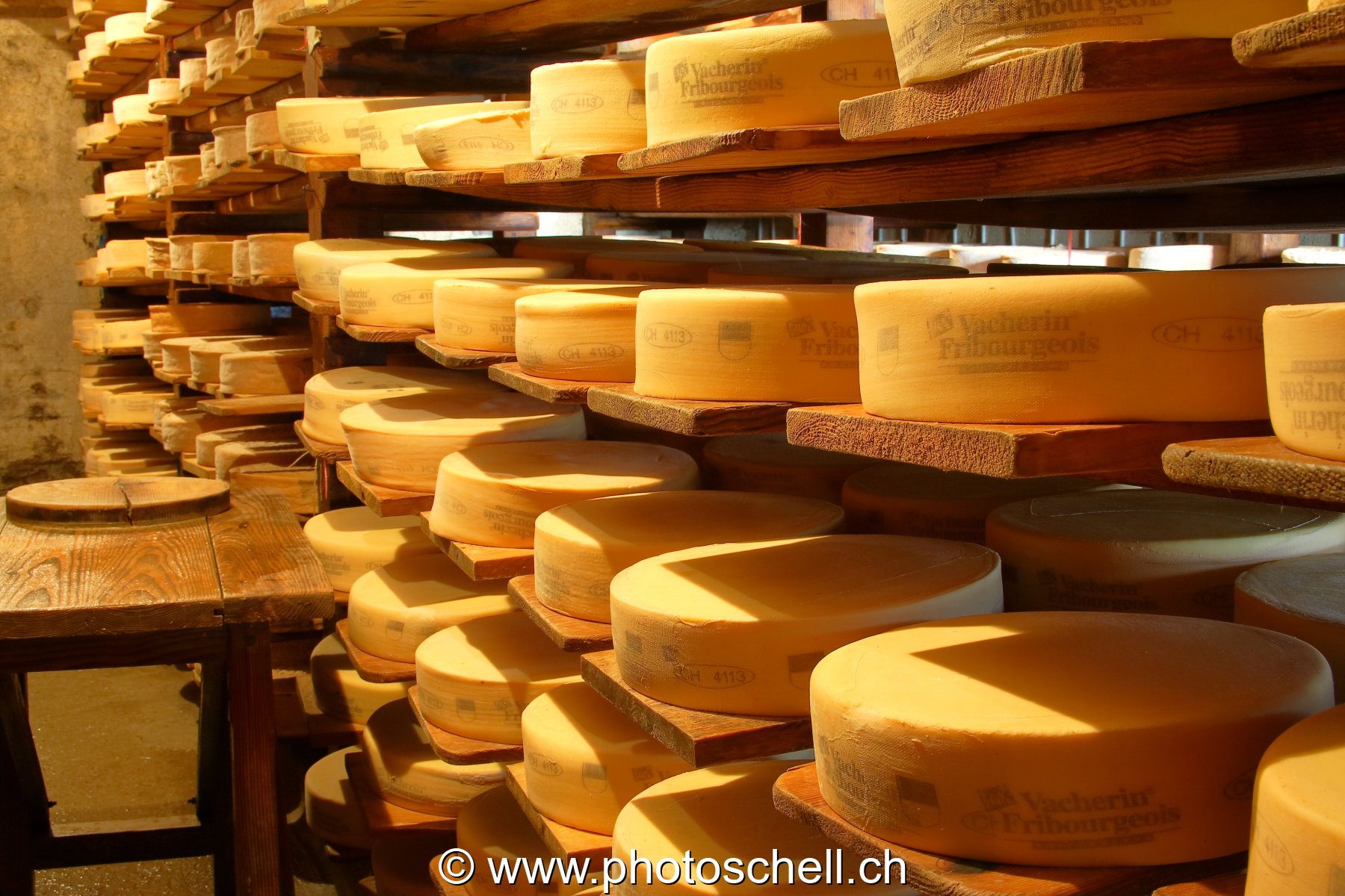 LE Vacherin Fribourgeois AOC en train de vieillir en cave