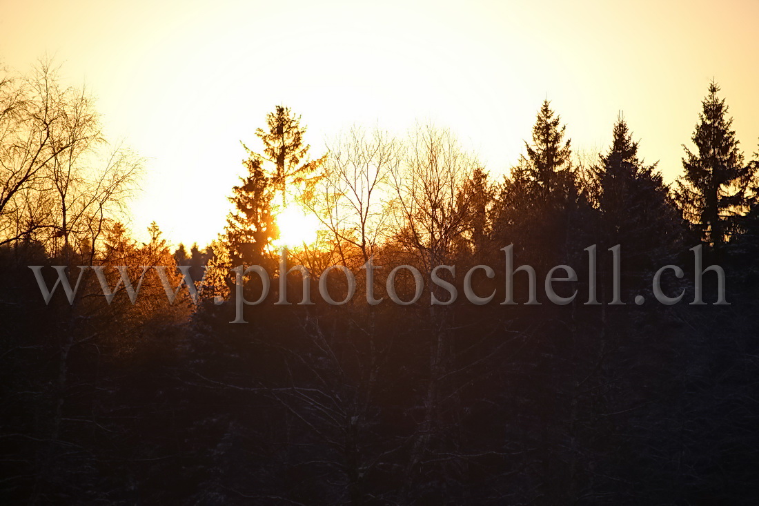 Coucher de soleil sur les monts de Marsens