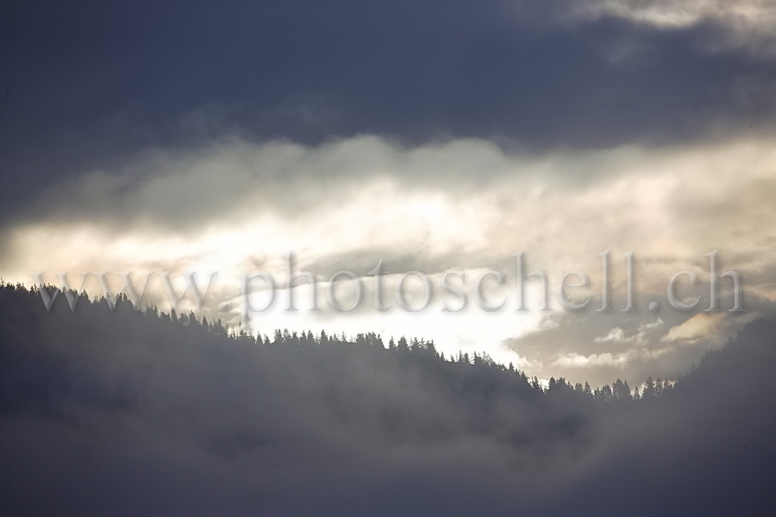 Brume nuageuse du matin