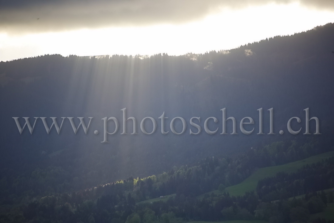 Effets de lumière sous le soleil du matin