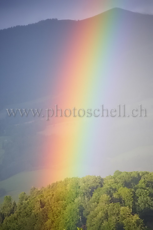 Couleurs de l'arc en ciel