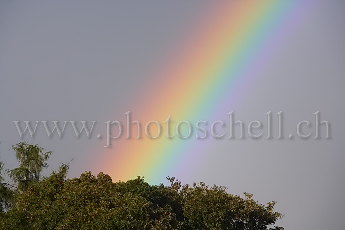 Arc en ciel