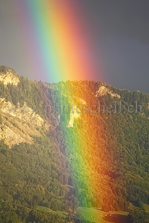 Arc en ciel