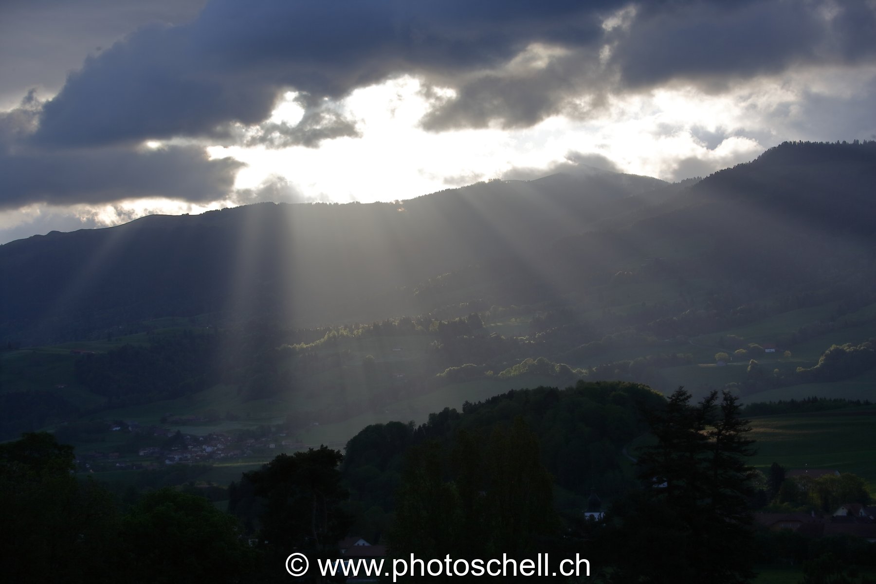 Photo 42