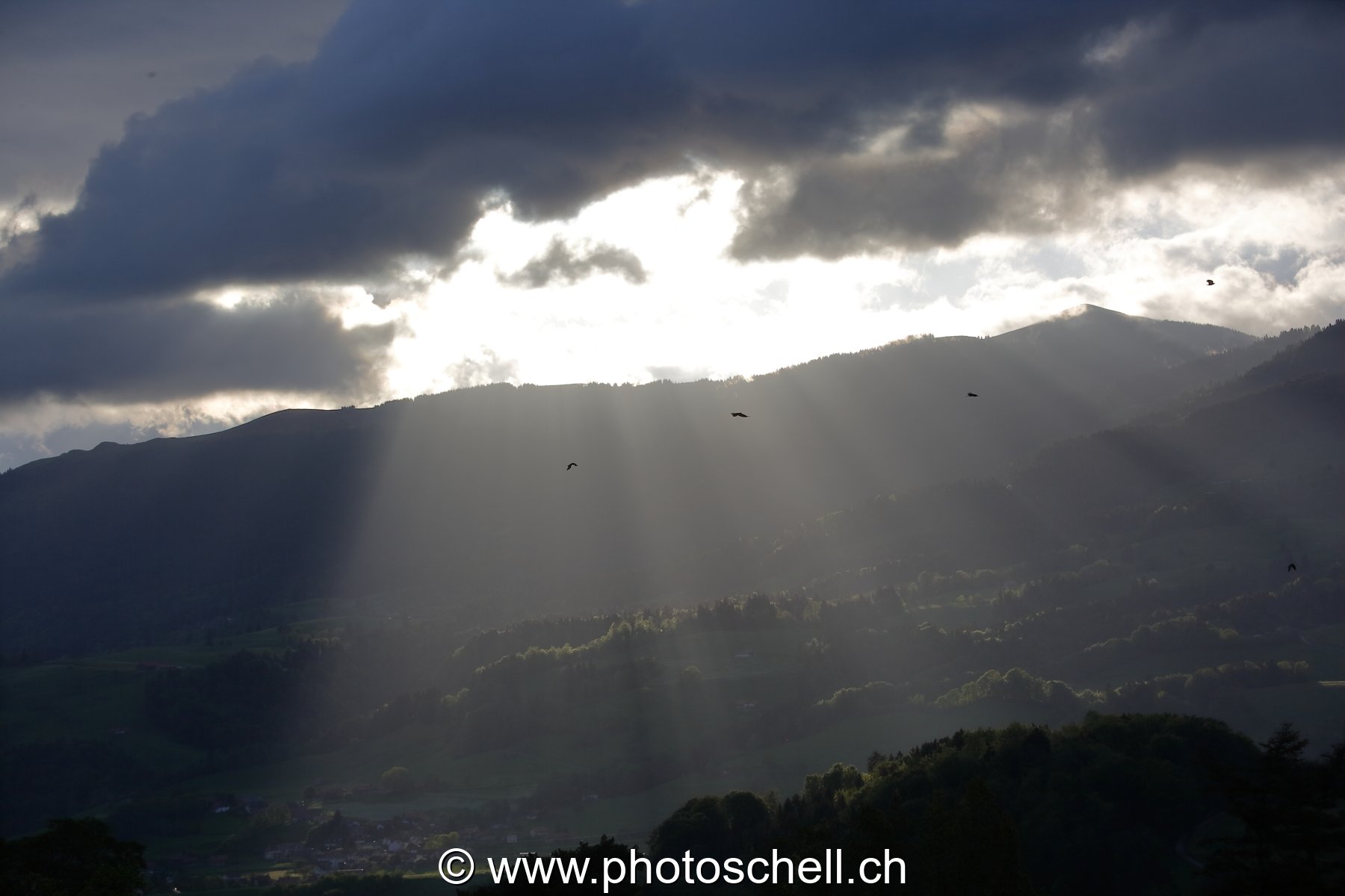 Photo 44