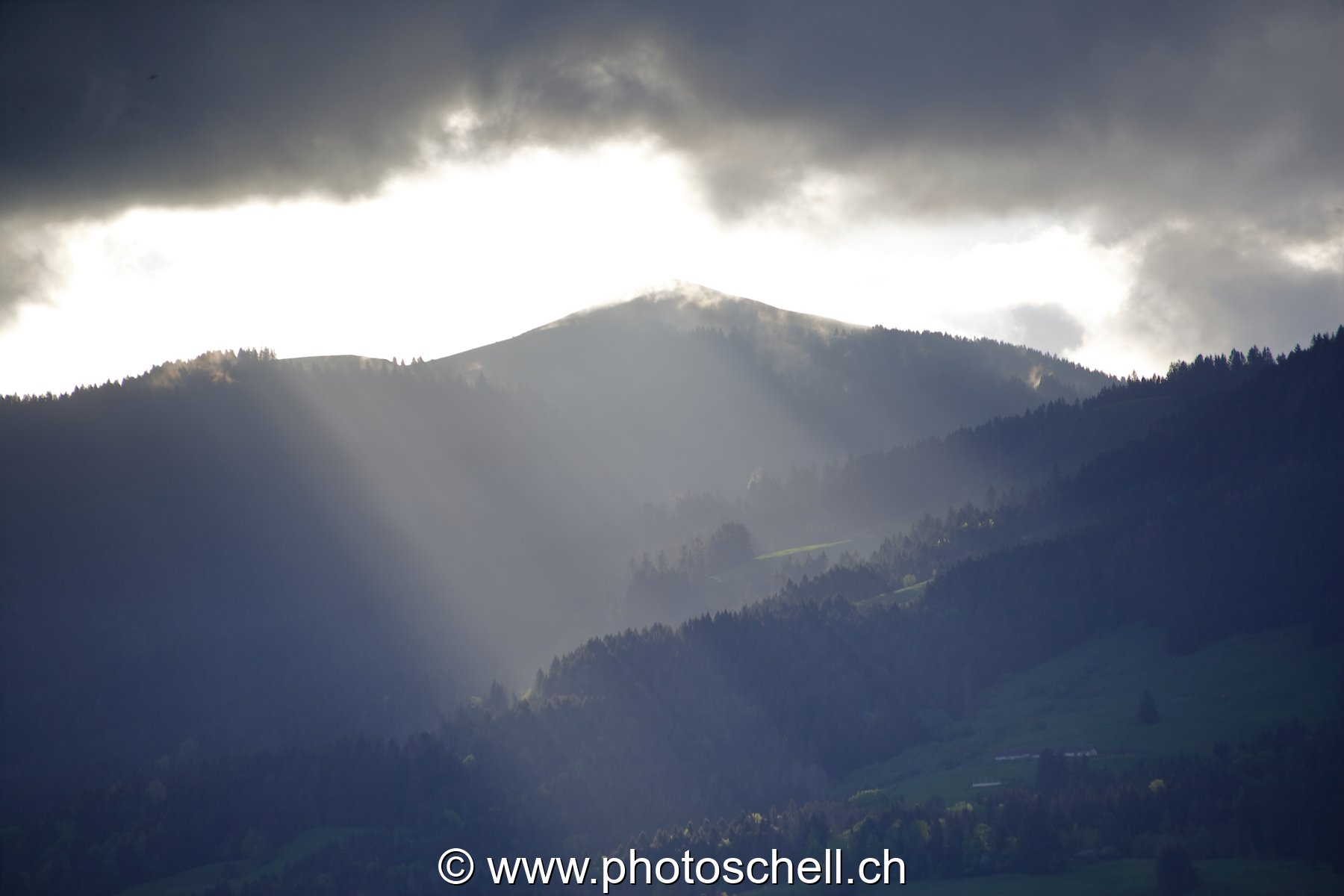 Effets de lumière sous le soleil du matin