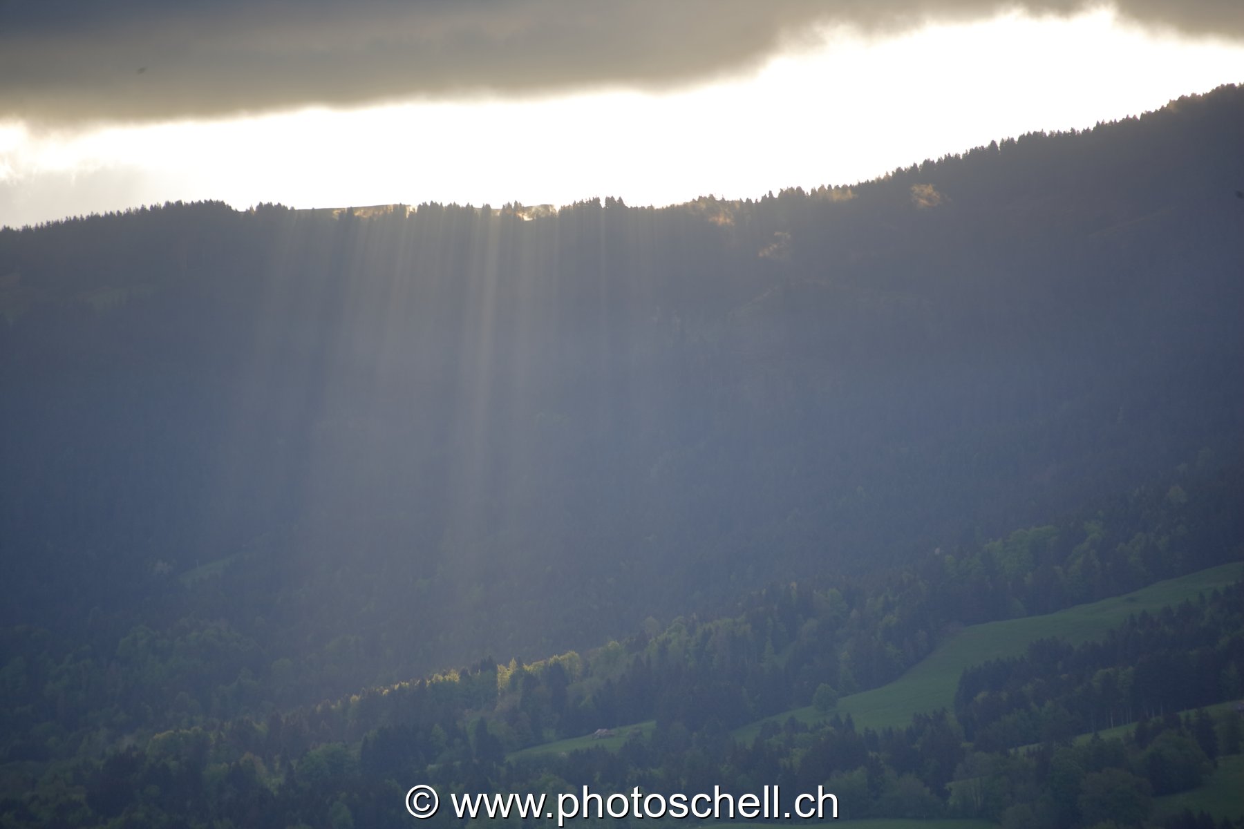 Effets de lumière sous le soleil du matin